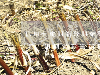 信用卡逾期能分期辦業(yè)務不(用分期樂沒逾期過影響辦信用卡么)