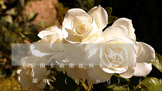 信用卡逾期能列王逃嗎(該銀行信用卡逾期還能申請(qǐng)儲(chǔ)蓄卡嗎)