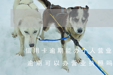 信用卡逾期能办个人营业执照吗(个人征信有逾期可以办营业执照吗)