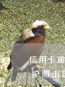 信用卡逾期能办出国护照吗(征信逾期可以办护照出国吗)