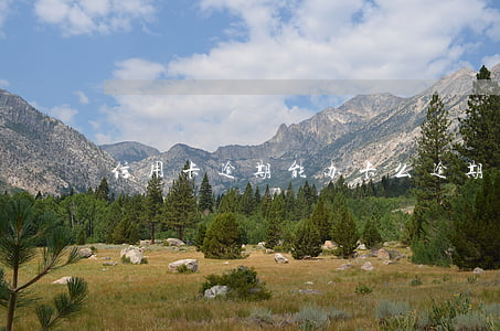 信用卡逾期能办卡么(逾期了信用卡还能办吗)