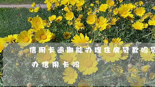 信用卡逾期能办理住房贷款吗(贷款有逾期能办信用卡吗)