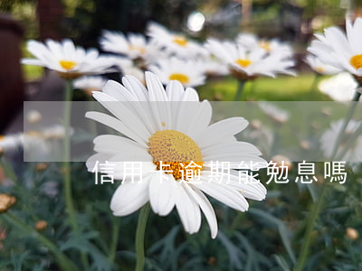 信用卡逾期能勉息嗎