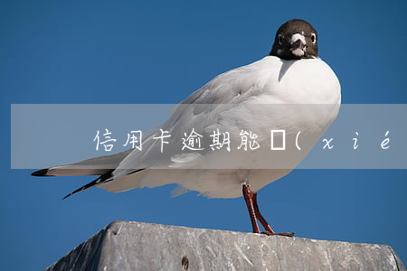 信用卡逾期能協(xié)商做分期嗎