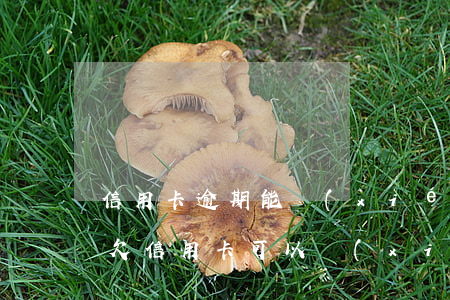 信用卡逾期能協(xié)商分期嗎怎么辦(欠信用卡可以協(xié)商分期還款嗎)