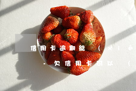 信用卡逾期能協(xié)商分期還要利息嗎-欠信用卡可以協(xié)商分期還款嗎