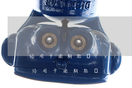 信用卡逾期能協(xié)商嗎-盛京銀行信用卡逾期能協(xié)商嗎