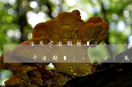 信用卡逾期能協(xié)商嗎 為什么信用卡逾期協(xié)商不了