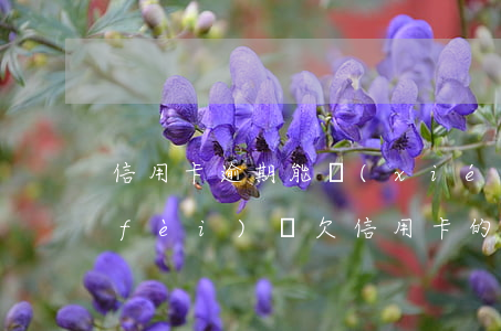 信用卡逾期能協(xié)商減免逾期費(fèi)嗎(欠信用卡的違約金能減免嗎)