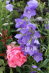信用卡逾期能去三亞嗎