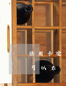 信用卡逾期能去其他銀行協(xié)商嗎(可以去銀行柜臺(tái)協(xié)商信用卡逾期嗎)