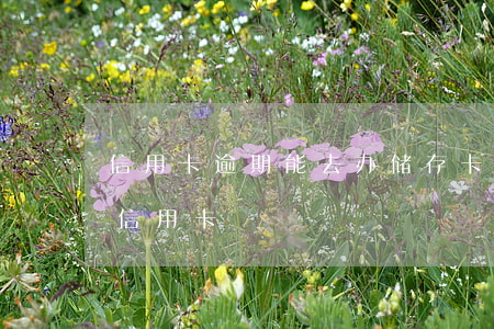 信用卡逾期能去办储存卡吗(逾期了能不能办信用卡)
