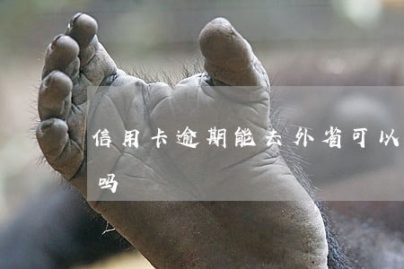 信用卡逾期能去外省(可以申请外省的信用卡吗)