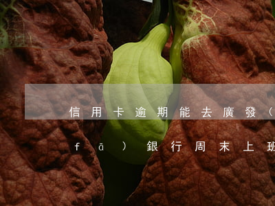 信用卡逾期能去廣發(fā)上班嗎(廣發(fā)銀行周末上班嗎能不能辦信用卡)