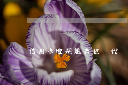 信用卡逾期能去柜臺代還嗎(有沒有信用卡代還)