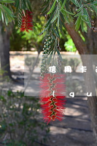 信用卡逾期能去美國(guó)旅游嗎(美國(guó)有逾期還能再去嗎)
