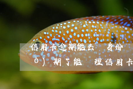 信用卡逾期能去辦身份證嗎(身份證過(guò)期了能辦理信用卡嗎)