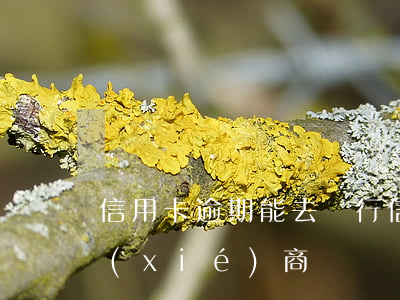 信用卡逾期能去銀行(信用卡逾期能去銀行協(xié)商嗎)