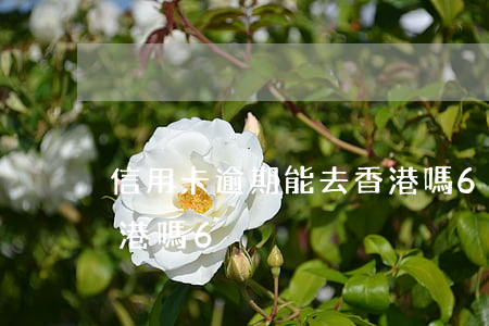 信用卡逾期能去香港嗎6（信用卡逾期能去香港嗎6）