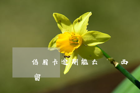 信用卡逾期能去馬來西亞嗎(馬來西亞逾期逗留)