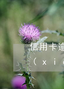 信用卡逾期能取現(xiàn)么-可取現(xiàn)的信用卡