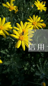 信用卡逾期能取錢嗎(怎么還信用卡逾期的錢)
