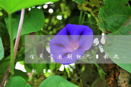 信用卡逾期能只還最低-逾期可以還最低還款嗎
