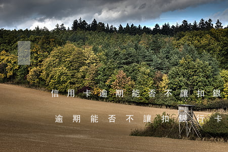 信用卡逾期能否不讓扣銀行卡里錢-信用卡逾期能否不讓扣銀行卡里錢呢
