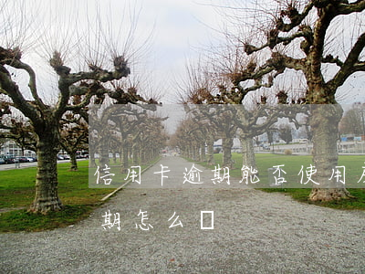 信用卡逾期能否使用房貸(房貸銀行信用卡逾期怎么辦)