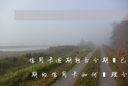 信用卡逾期能否分期還(已經(jīng)逾期的信用卡如何辦理分期)