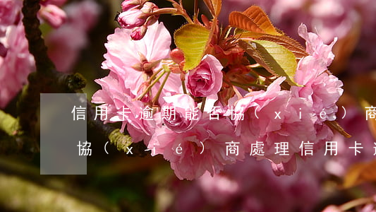 信用卡逾期能否協(xié)商還款 到銀行協(xié)商處理信用卡逾期還款銀行有權(quán)拘留?