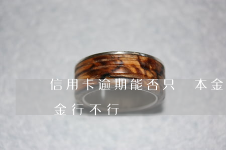 信用卡逾期能否只還本金(信用卡逾期只還本金行不行)