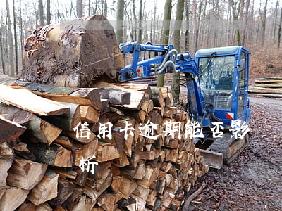 信用卡逾期能否影響駕照考試？解決辦法解析