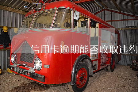 信用卡逾期能否收取违约金？原因及解决办法