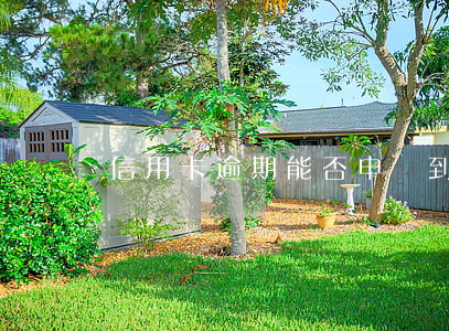 信用卡逾期能否申請到網(wǎng)上