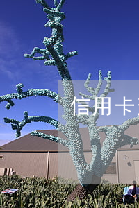 信用卡逾期能否辦etc(逾期后辦理信用卡)