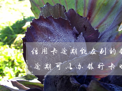 信用卡逾期能在别的银行办理吗-有信用卡逾期可以办银行卡吗