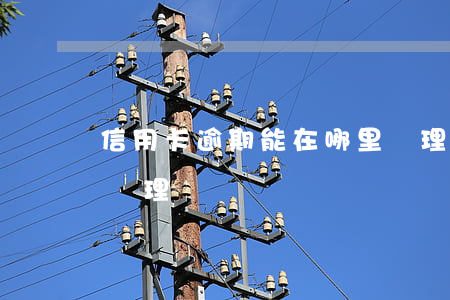 信用卡逾期能在哪里辦理(有逾期信用卡可以辦理嗎)