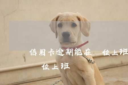 信用卡逾期能在單位上班嗎(信用卡逾期能在單位上班嗎)