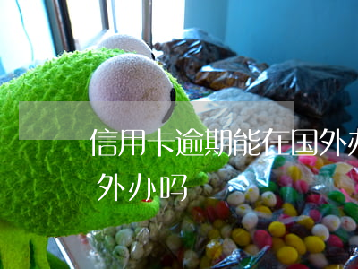 信用卡逾期能在国外办吗(信用卡逾期能在国外办吗)