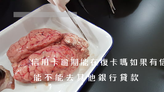 信用卡逾期能在復卡嗎(如果有信用卡逾期還能不能去其他銀行貸款)