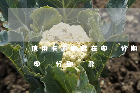 信用卡逾期能在申請分期還款嗎(逾期后可以申請分期還款嗎)