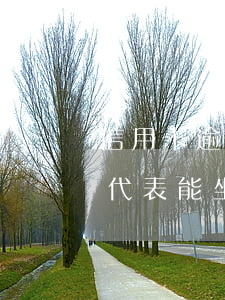 信用卡逾期能在網(wǎng)上買高鐵票代表能坐是嗎-欠信用卡逾期可以坐高鐵嗎