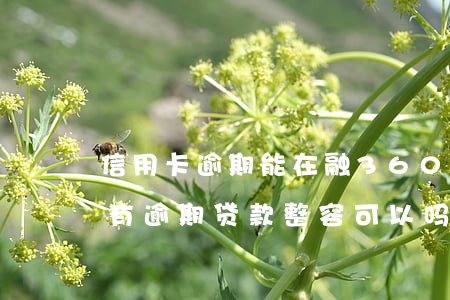 信用卡逾期能在融360贷款吗-我信用卡有逾期 贷款整容可以吗
