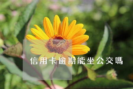 信用卡逾期能坐公交嗎