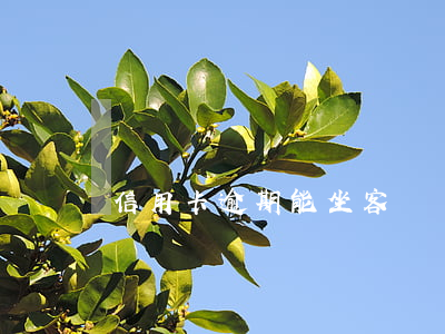 信用卡逾期能坐客車嗎-欠信用卡能坐長途車嗎