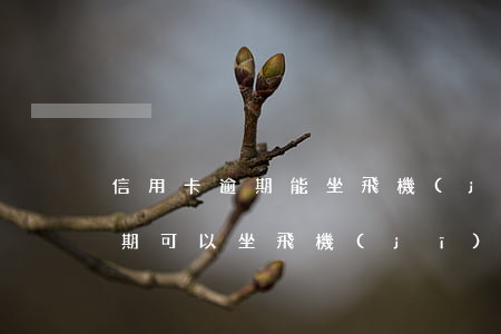 信用卡逾期能坐飛機(jī)嗎(信用卡有逾期可以坐飛機(jī)么)