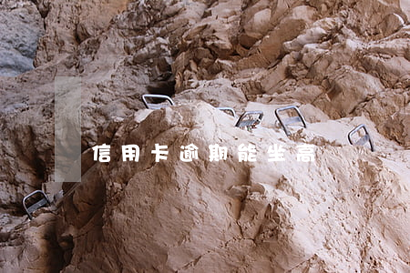 信用卡逾期能坐高鐵嗎(銀行卡逾期能坐高鐵嗎)