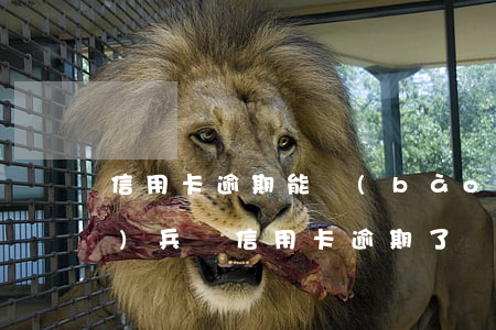 信用卡逾期能報(bào)名當(dāng)兵嗎(信用卡逾期了)