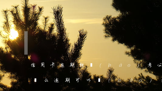 信用卡逾期能報(bào)考公務(wù)員么(逾期可以報(bào)考公務(wù)員嗎)